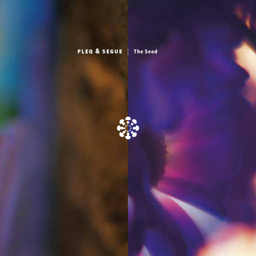 cover for Pleq & segue album the seed on Databloem